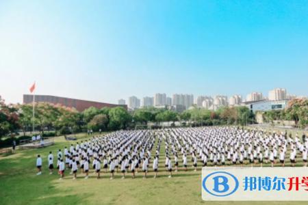 宁波宁大附属学校学费多少