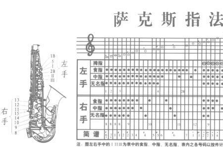 萨克斯大约学几年到10级