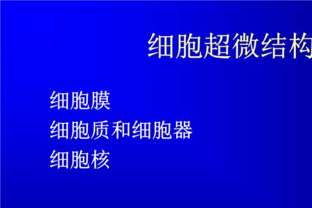 真核细胞由什么组成