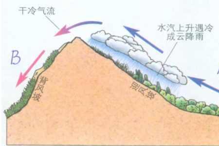 雨是怎样形成的为什么会下雨