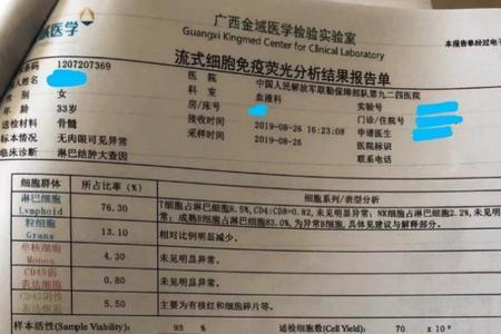 流式报告是什么意思