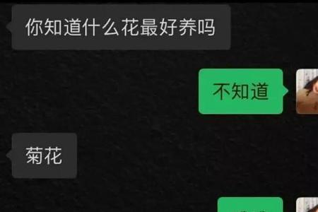 脑回路不正常是什么意思