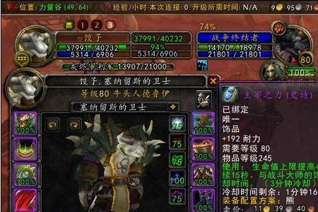 tbc野德和鸟德哪个更适合pvp