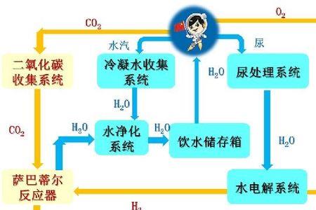 二氧化碳属于生命系统吗