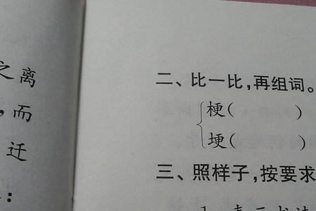 尾可以组什么词