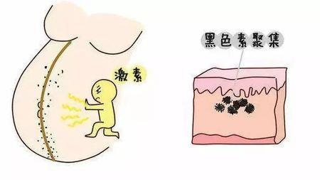 使人拥有母爱的激素是什么