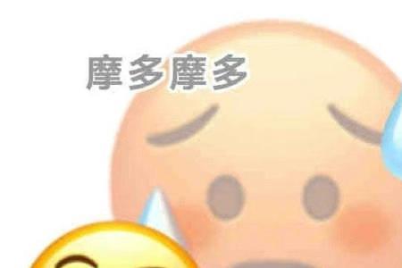 斯哈斯哈表情包的意思