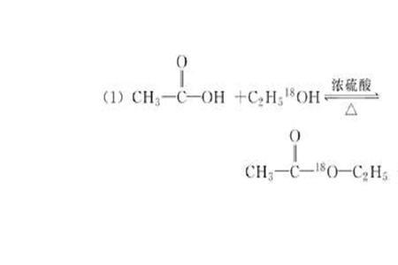 乙醇的酯化反应