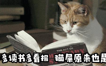 白醋去除猫尿味