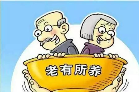 社保年金是什么