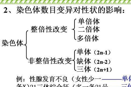 单倍体和多倍体区别