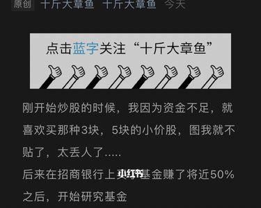 未必不可什么意思