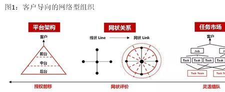 组织的网络是什么