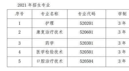 潍坊职业学院有医药专业吗