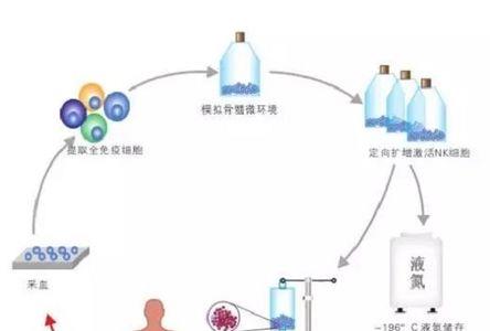 细胞存储国家规定的年限