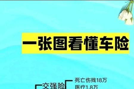 车损险100万如何赔付