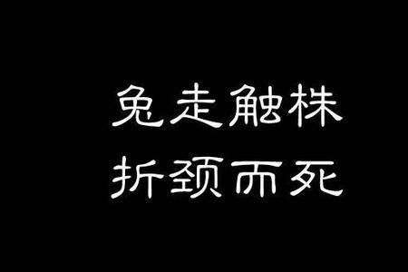 触株的意思