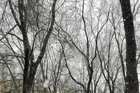 用银霜和雪花造句