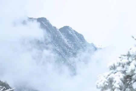 骤雪初霁的意思