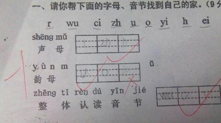 zhi是声母还是韵母