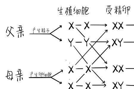 什么生物是不分性别的