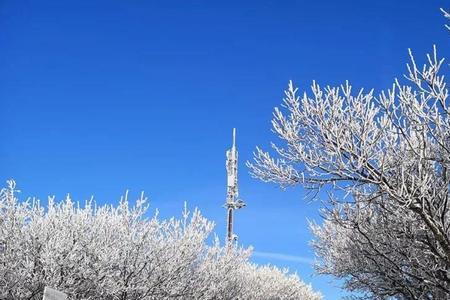 湛江历史上有下过雪吗