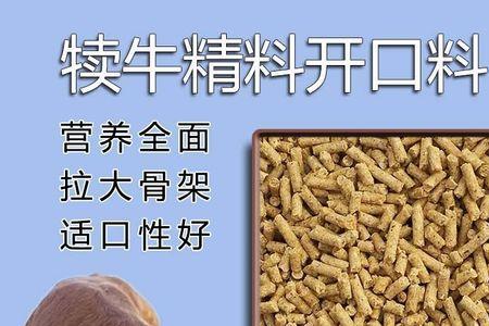 放山牛需不需要加精料