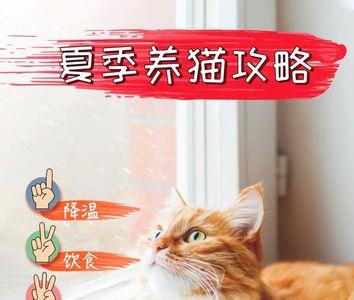 猫咪不耐受是什么意思