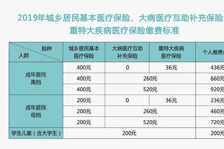 医疗保险本年和次年是什么意思