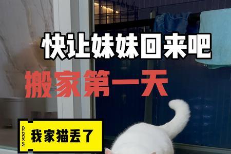 搬家后猫跑了还会回来吗