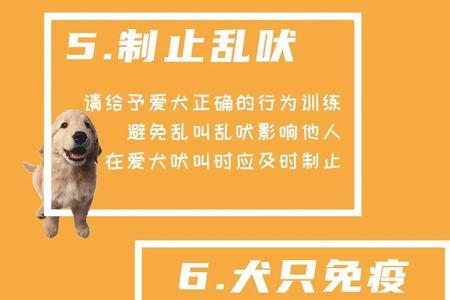 南阳市城市养犬管理办法