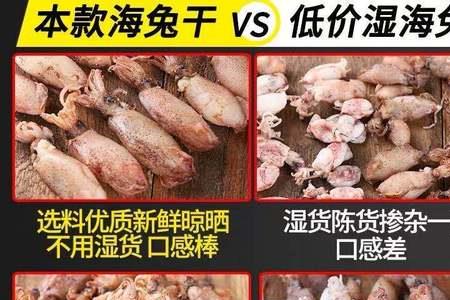 小鱿鱼跟小墨鱼的区别