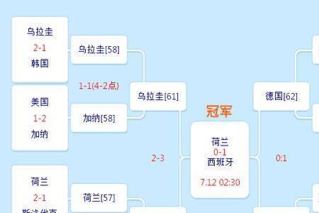 2010年世界杯法国队成绩