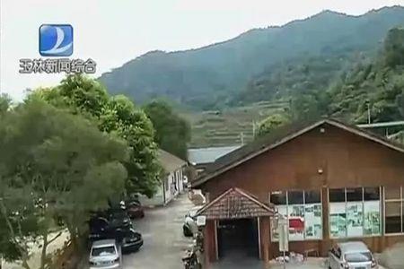 北流雷冲风景区门票