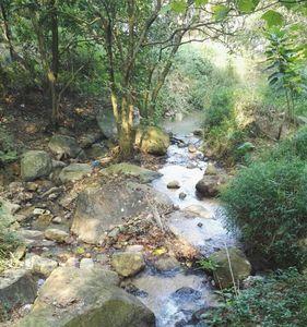 东莞大岭山黄沙河公园景点