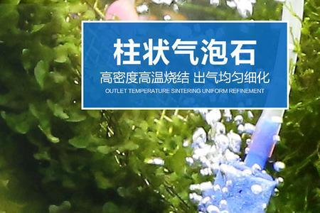 鱼缸增氧泵气泡炸裂飞溅