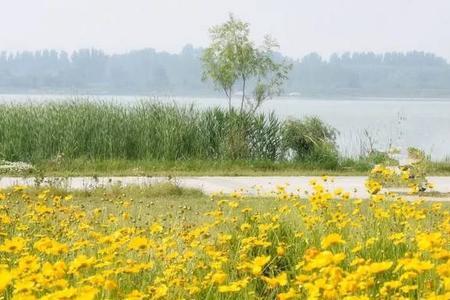 滹沱河花海最佳游览时间