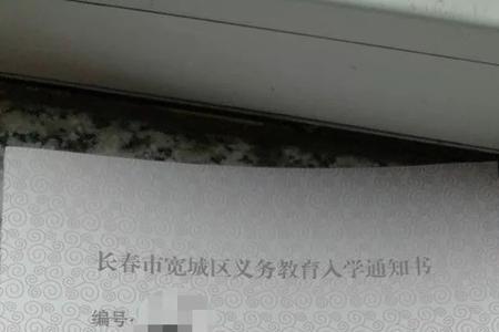 小学入学通知书编号是学号吗