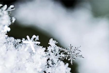 下雪天的雪花是什么样的