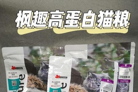 猫咪低蛋白换高蛋白猫粮怎么换