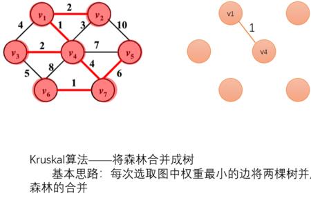 树的边数什么意思