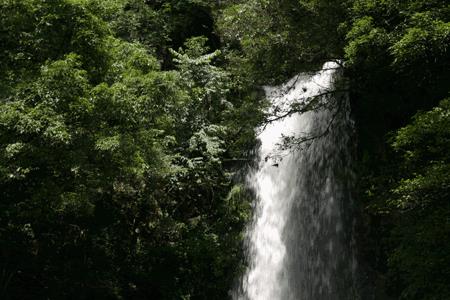 闻弦知雅意流水遇知音取自哪里