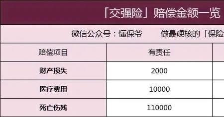 以1000元风险保险金额什么意思