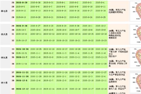 母牛怀孕周期表