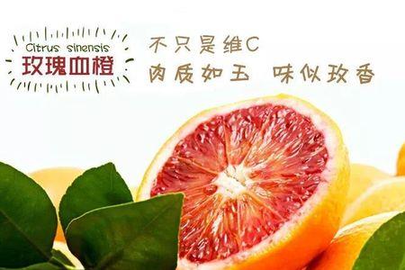 玫瑰血橙优点和缺点