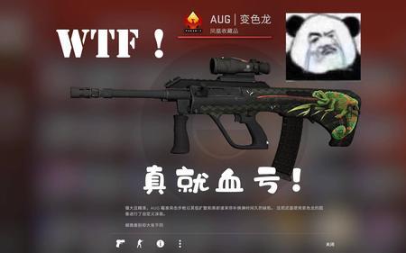 csgoaug变色龙怎么样