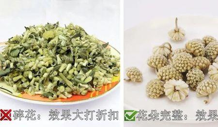 绿萝花成熟是什么季节