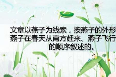 怎么用浪漫无比造句