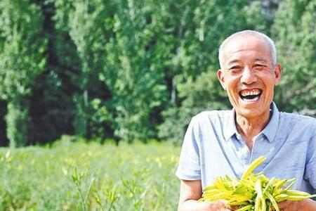 陕西7月种菜大全