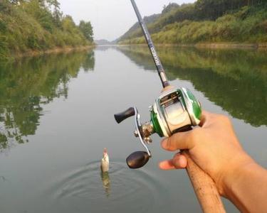 筏竿钓鲢鳙怎么控制水深